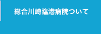 総合川崎臨港病院について